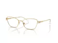 Swarovski Lunettes de Vue SK 1006 4013