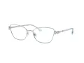 Swarovski Lunettes de Vue SK 1006 4020