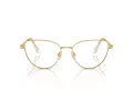 Swarovski Lunettes de Vue SK 1007 4004