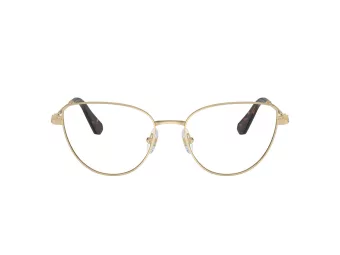 Swarovski Lunettes de Vue SK 1007 4013