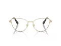 Swarovski Lunettes de Vue SK 1007 4013
