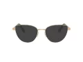Swarovski Lunettes de Vue SK 1007 4013