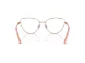 Swarovski Lunettes de Vue SK 1007 4014
