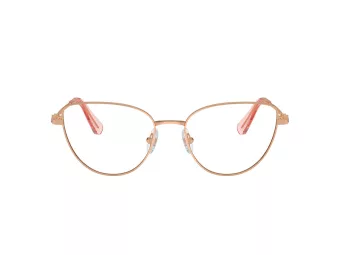 Swarovski Lunettes de Vue SK 1007 4014
