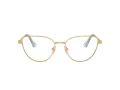 Swarovski Lunettes de Vue SK 1007 4021