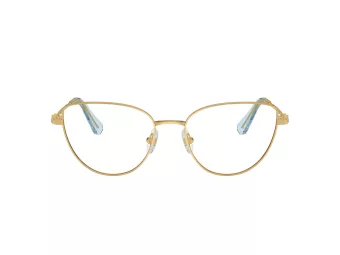 Swarovski Lunettes de Vue SK 1007 4021