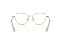 Swarovski Lunettes de Vue SK 1007 4021