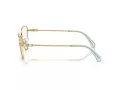 Swarovski Lunettes de Vue SK 1007 4021