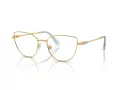 Swarovski Lunettes de Vue SK 1007 4021