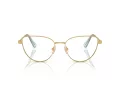 Swarovski Lunettes de Vue SK 1007 4021