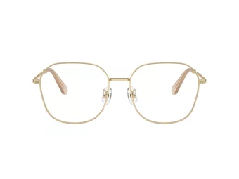 Swarovski Lunettes de Vue SK 1009D 4013