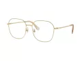Swarovski Lunettes de Vue SK 1009D 4013