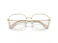Swarovski Lunettes de Vue SK 1009D 4013