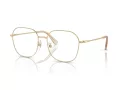 Swarovski Lunettes de Vue SK 1009D 4013