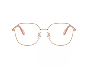 Swarovski Lunettes de Vue SK 1009D 4014