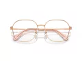 Swarovski Lunettes de Vue SK 1009D 4014