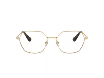 Swarovski Lunettes de Vue SK 1011 4013