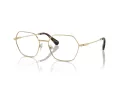 Swarovski Lunettes de Vue SK 1011 4013