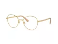 Swarovski Lunettes de Vue SK 1013 4004