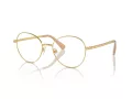 Swarovski Lunettes de Vue SK 1013 4004