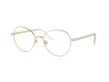 Swarovski Lunettes de Vue SK 1013 4013