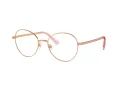Swarovski Lunettes de Vue SK 1013 4014