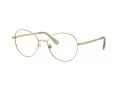 Swarovski Lunettes de Vue SK 1013 4017