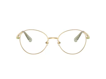 Swarovski Lunettes de Vue SK 1013 4017