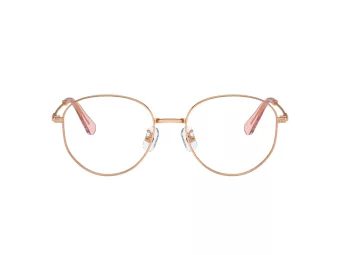 Swarovski Lunettes de Vue SK 1016D 4014