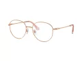 Swarovski Lunettes de Vue SK 1016D 4014