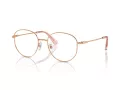 Swarovski Lunettes de Vue SK 1016D 4014