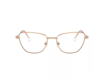 Swarovski Lunettes de Vue SK 1018 4014