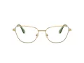 Swarovski Lunettes de Vue SK 1018 4017