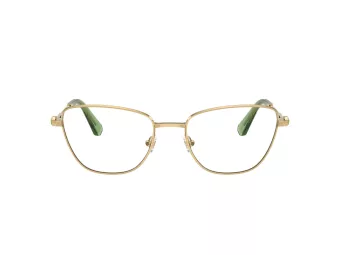 Swarovski Lunettes de Vue SK 1018 4017