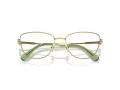 Swarovski Lunettes de Vue SK 1018 4017
