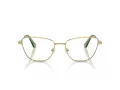 Swarovski Lunettes de Vue SK 1018 4017