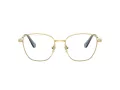 Swarovski Lunettes de Vue SK 1019 4021