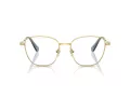 Swarovski Lunettes de Vue SK 1019 4021
