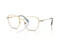 Swarovski Lunettes de Vue SK 1019 4021