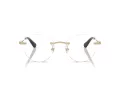 Swarovski Lunettes de Vue SK 1021 4013