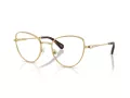 Swarovski Lunettes de Vue SK 1022 4004