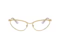 Swarovski Lunettes de Vue SK 1027 4017