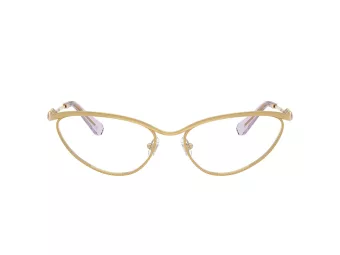 Swarovski Lunettes de Vue SK 1027 4017