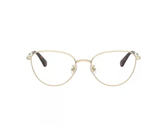 Swarovski Lunettes de Vue SK 1029D 4013