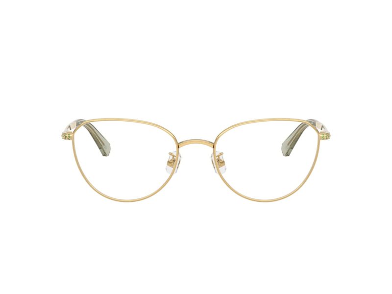 Swarovski Lunettes de Vue SK 1029D 4017