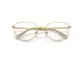 Swarovski Lunettes de Vue SK 1029D 4017