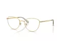 Swarovski Lunettes de Vue SK 1029D 4017