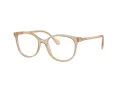 Swarovski Lunettes de Vue SK 2002 1034