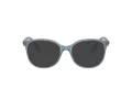 Swarovski Lunettes de Vue SK 2002 1035
