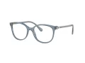 Swarovski Lunettes de Vue SK 2002 1035